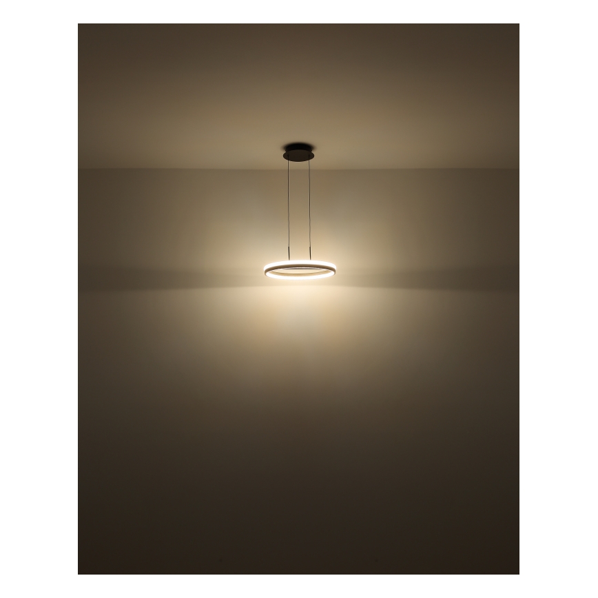 Globo - LED pendel LED/40W/230V 3000/4000/6000K diameter 39,7 cm brun
