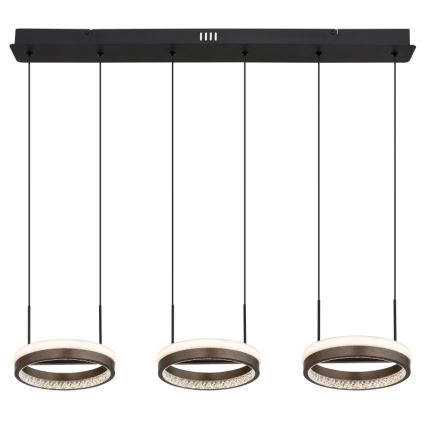 Globo - LED pendel LED/40W/230V 3000/4000/6000K brun