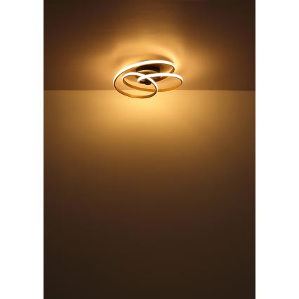 Globo - LED loftlampe LED/40W/230V 3000K mat krom/sort