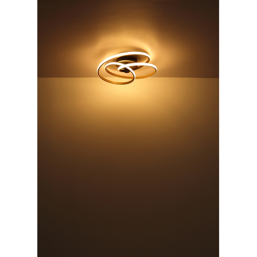 Globo - LED loftlampe LED/40W/230V 3000K mat krom/sort