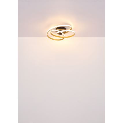 Globo - LED loftlampe LED/40W/230V 3000K mat krom/sort