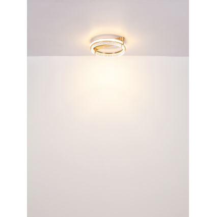 Globo - LED Loftlampe i krystal dæmpbar LED/36W/230V 2700K-6000K + fjernbetjening