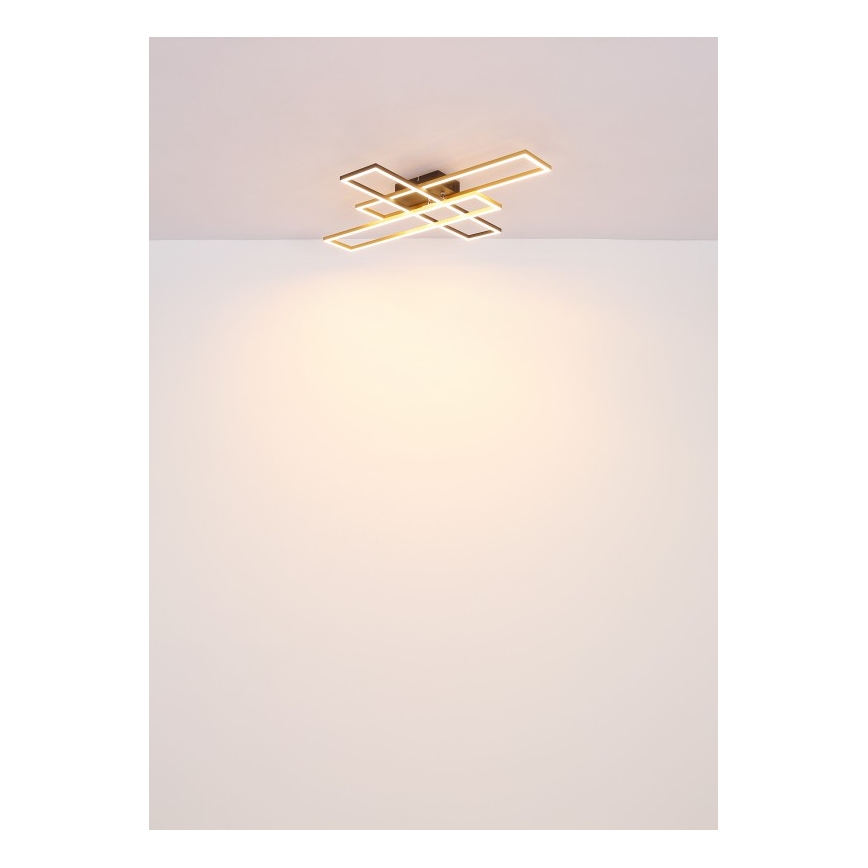 Globo - LED loftlampe LED/40W/230V 3000K 60x80 cm sort/guldfarvet