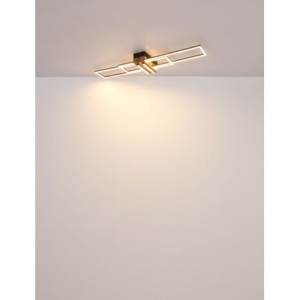 Globo - LED loftlampe LED/40W/230V 3000K 25x100 cm sort