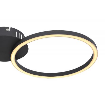 Globo - LED loftlampe LED/24W/230V