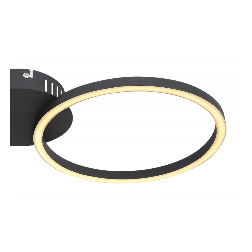 Globo - LED loftlampe LED/24W/230V