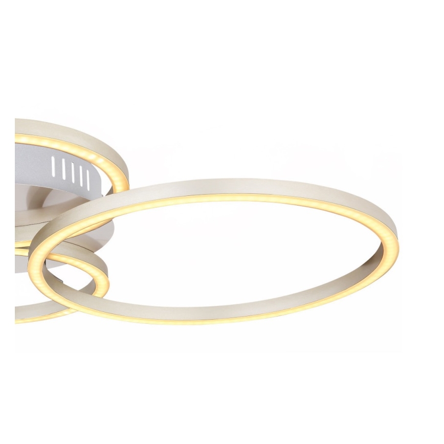 Globo - LED pendel LED/40W/230V