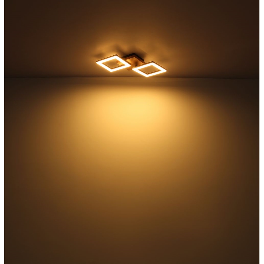 Globo - LED loftlampe LED/30W/230V