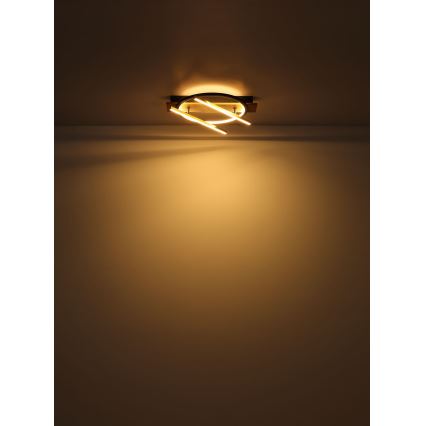 Globo - LED loftlampe LED/32W/230V