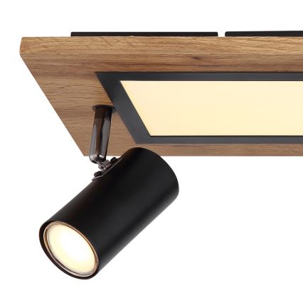 Globo - LED spotlampe LED/24W/230V + 3xGU10/5W