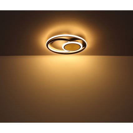 Globo - LED loftlampe LED/24W/230V
