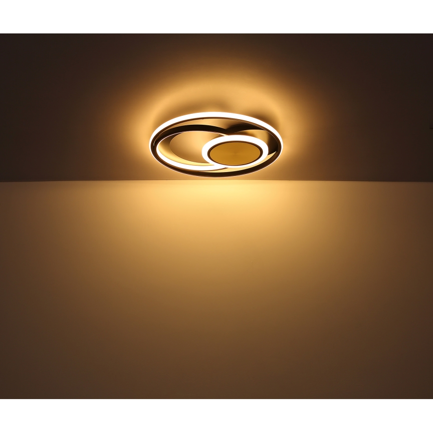 Globo - LED loftlampe LED/24W/230V