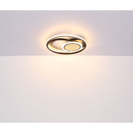 Globo - LED loftlampe LED/24W/230V