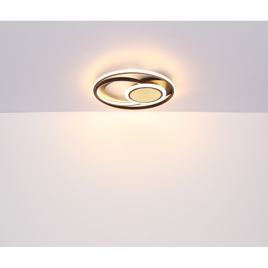 Globo - LED loftlampe LED/24W/230V