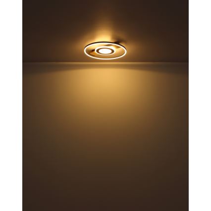 Globo - LED loftlampe LED/24W/230V