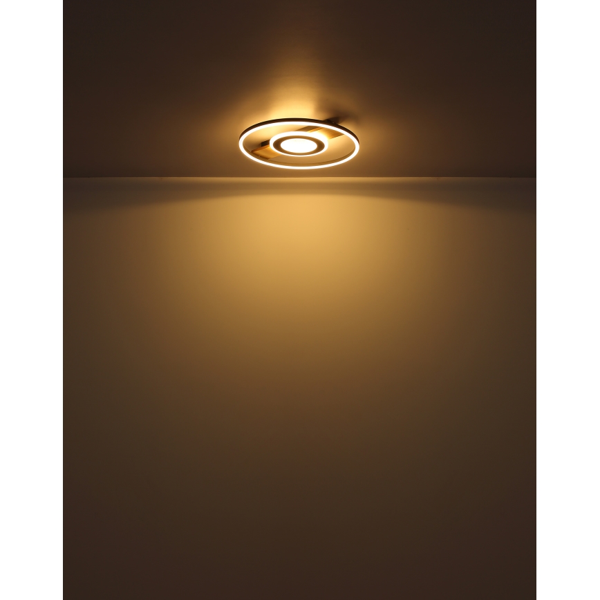 Globo - LED loftlampe LED/24W/230V