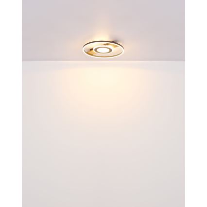 Globo - LED loftlampe LED/24W/230V