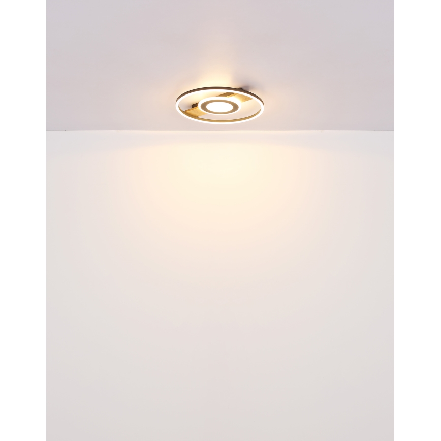 Globo - LED loftlampe LED/24W/230V