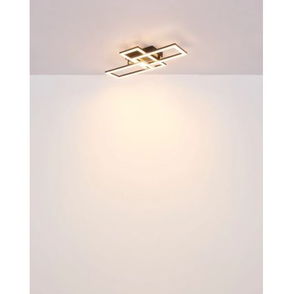 Globo - LED loftlampe LED/24W/230V