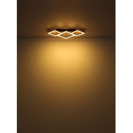 Globo - LED loftlampe LED/24W/230V
