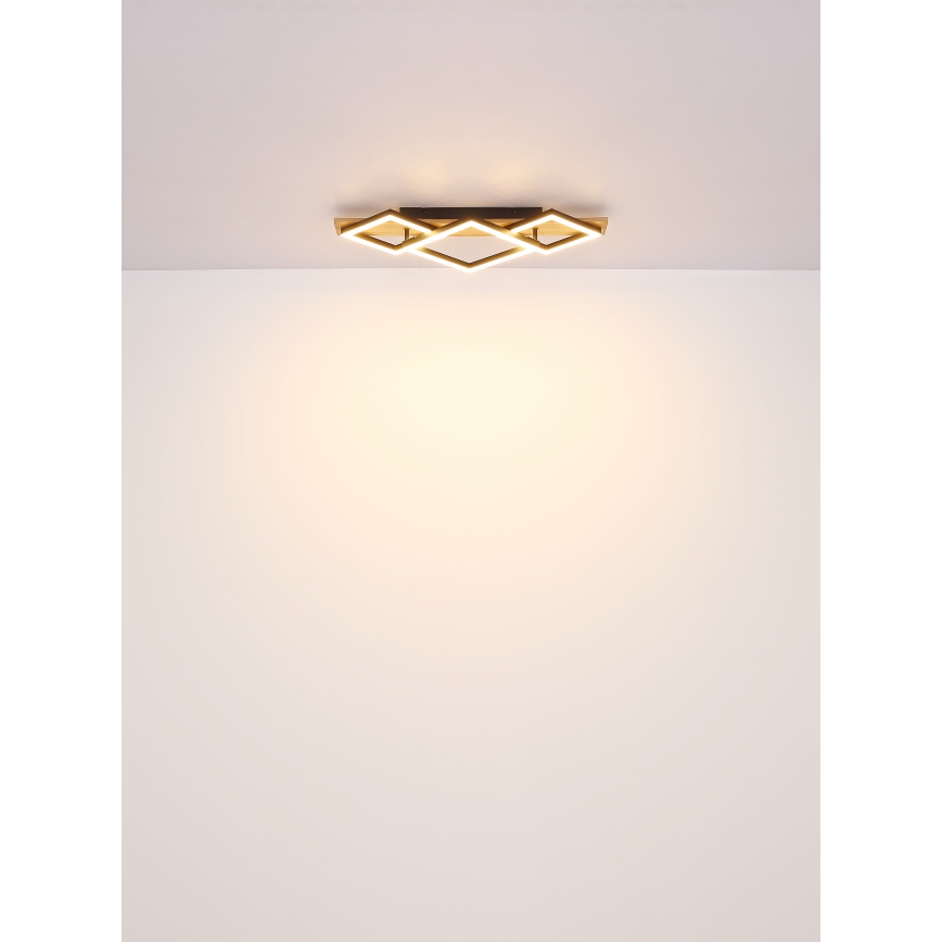 Globo - LED loftlampe LED/24W/230V