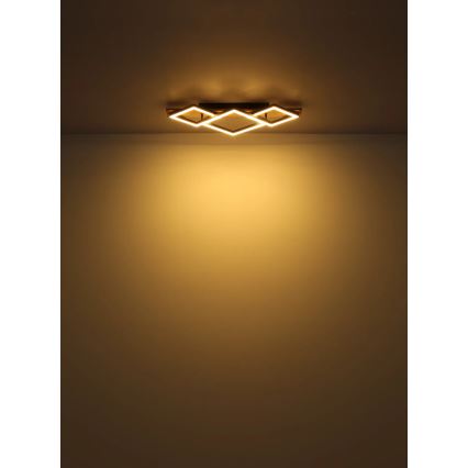 Globo - LED loftlampe LED/24W/230V