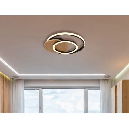 Globo - LED loftlampe LED/24W/230V sort