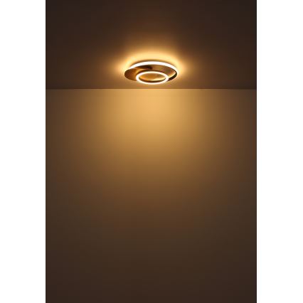 Globo - LED loftlampe LED/24W/230V sort