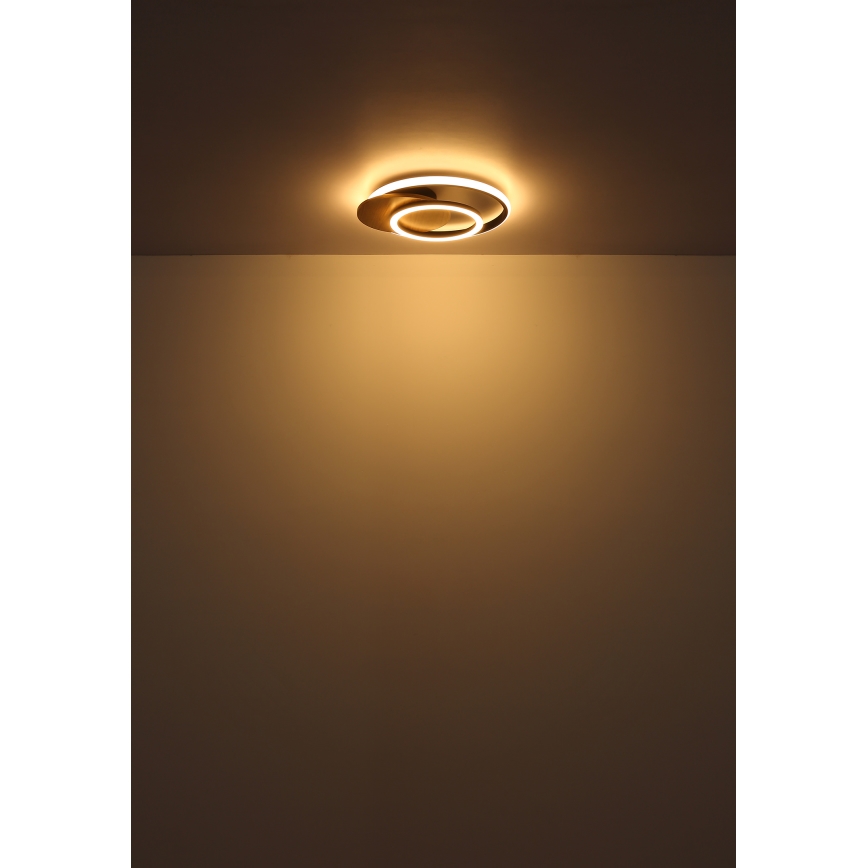 Globo - LED loftlampe LED/24W/230V sort