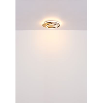 Globo - LED loftlampe LED/24W/230V sort