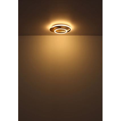 Globo - LED loftlampe LED/24W/230V