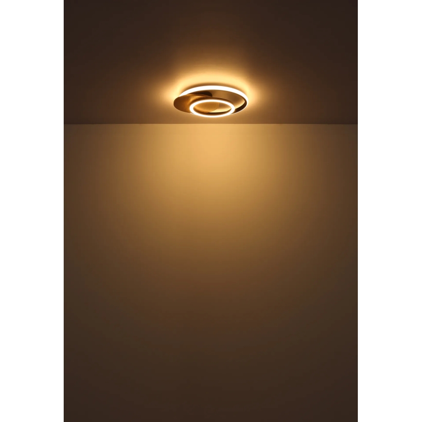Globo - LED loftlampe LED/24W/230V