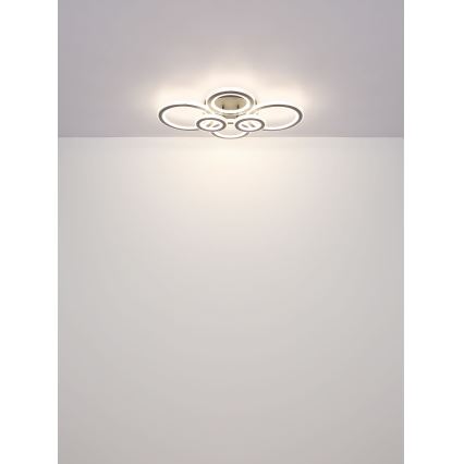 Globo - LED loftlampe dæmpbar LED/60W/230V 2700-6000K 56x78 cm antracit + fjernbetjening