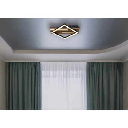 Globo - LED loftlampe LED/19W/230V 3000K 31x33 cm