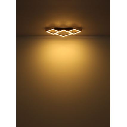 Globo - LED loftlampe LED/24W/230V + LED/8W 3000K 31x61cm