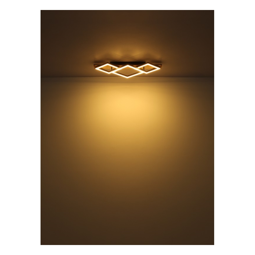 Globo - LED loftlampe LED/24W/230V + LED/8W 3000K 31x61cm