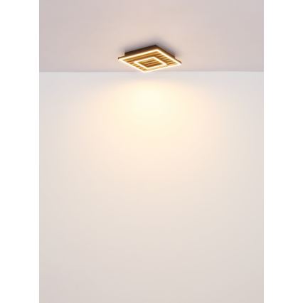 Globo - LED loftlampe LED/18W/230V 3000K 30x30 cm