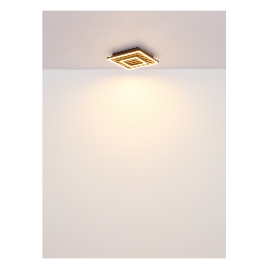 Globo - LED loftlampe LED/18W/230V 3000K 30x30 cm