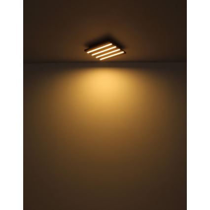 Globo - LED loftlampe LED/15W/230V 3000K 30x30 cm