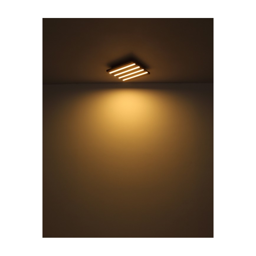 Globo - LED loftlampe LED/15W/230V 3000K 30x30 cm