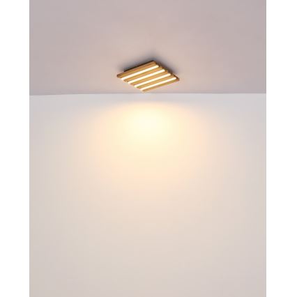 Globo - LED loftlampe LED/15W/230V 3000K 30x30 cm