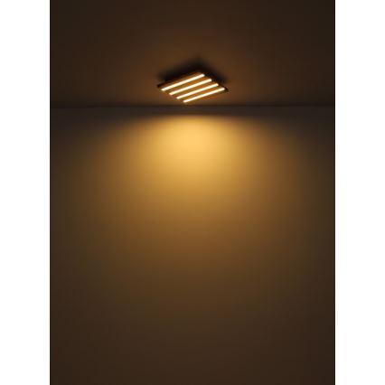 Globo - LED loftlampe LED/30W/230V 3000K 45x45 cm træ