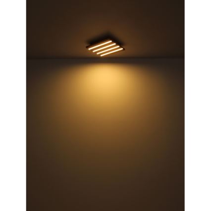 Globo - LED loftlampe LED/30W/230V 3000K 80x20 cm træ