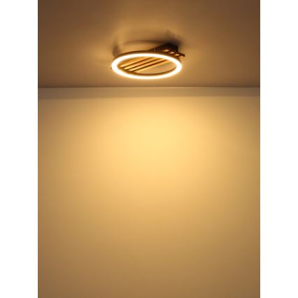 Globo - LED loftlampe LED/12W/230V 3000K 30x34 cm