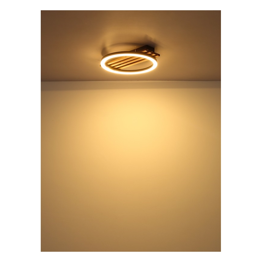 Globo - LED loftlampe LED/12W/230V 3000K 30x34 cm