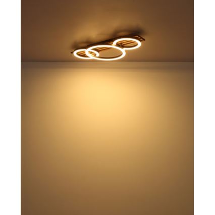 Globo - LED loftlampe LED/24W/230V 3000K 30x62 cm