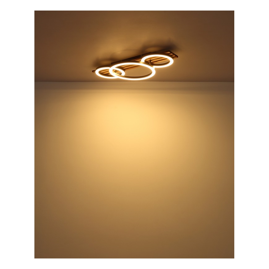 Globo - LED loftlampe LED/24W/230V 3000K 30x62 cm