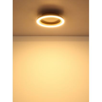 Globo - LED loftlampe LED/12W/230V 3000K Ø 20,5 cm