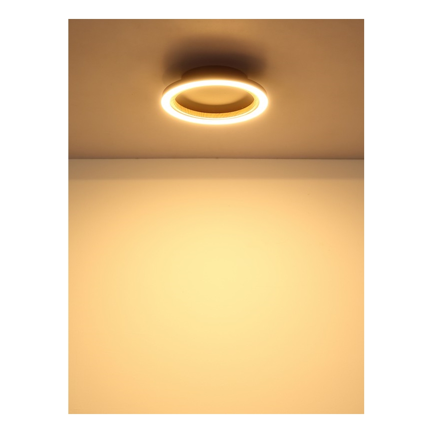 Globo - LED loftlampe LED/12W/230V 3000K Ø 20,5 cm