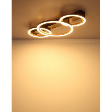 Globo - LED loftlampe LED/40W/230V 3000K 58x30 cm